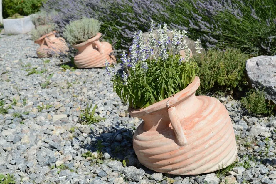 Jardin mediterraneen entretenu par Hassen Alioui a Toulon